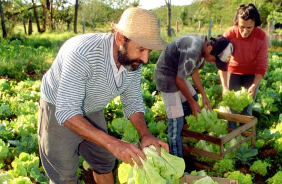 La provincia de Misiones formará parte de Consejo de la Agricultura Familiar