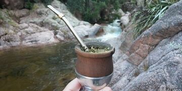 Mates de puntanas/os en San Luis