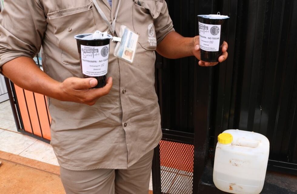 Dengue: realizan tareas de prevención y monitoreo de Ovitrampas en Oberá
