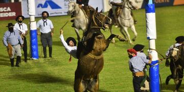 Se discuten las Jineteadas de Caballos