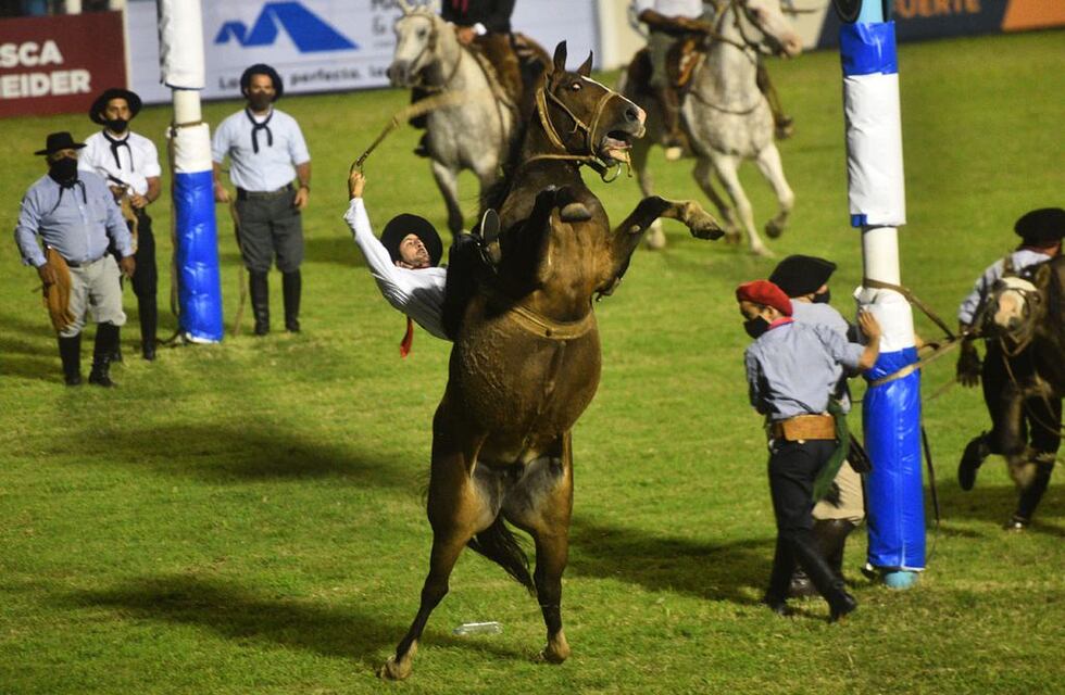 Mediante consulta popular el HCD debatirá si prohíbe las “Jineteadas de Caballos” en Gualeguaychú