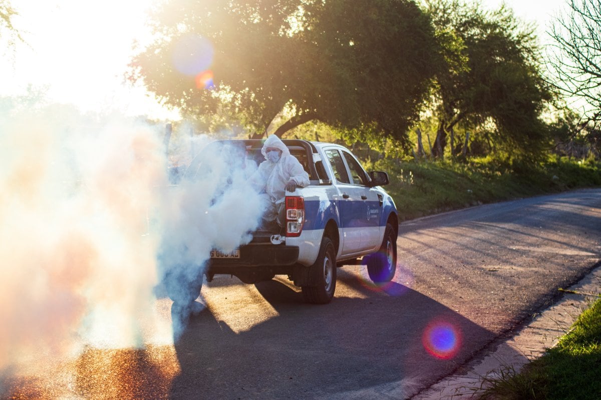 Dengue: Campaña Patio Limpio 2025