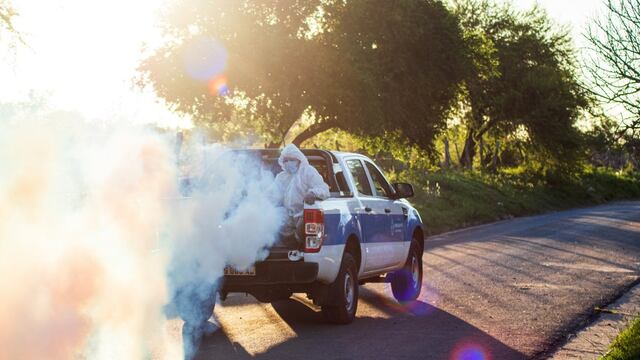 Dengue: Campaña Patio Limpio 2025