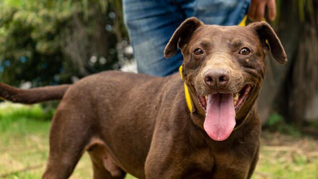 Desde el próximo lunes, los dispositivos estarán en El Martillo, Estación Camet y en la localidad de Batán.