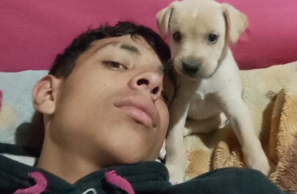 Mataron a un adolescente de un tiro en la cabeza en La Plata: Investigan si fue por un “ajuste de cuentas”