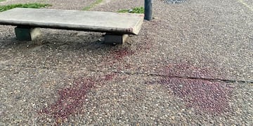 Un nuevo homicidio mancha la madrugada en Rosario.