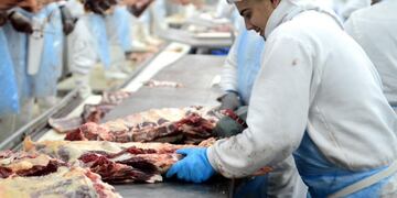 PERSPECTIVA. Las exportaciones de carne crecerían este año, a pesar de una caída en la competitividad. (La Voz/Archivo)