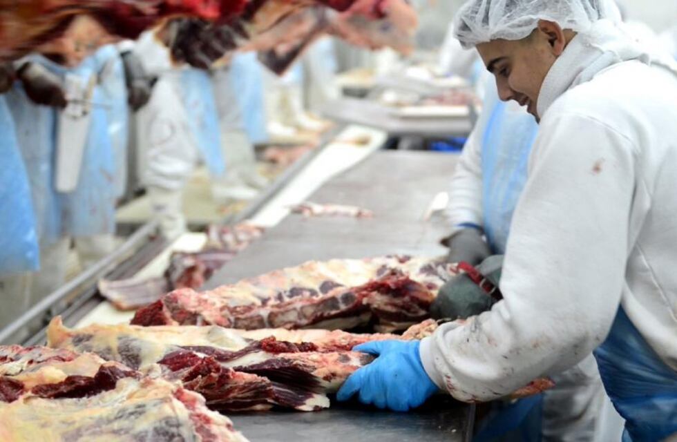 El mercado de carnes y una oportunidad real para la Argentina