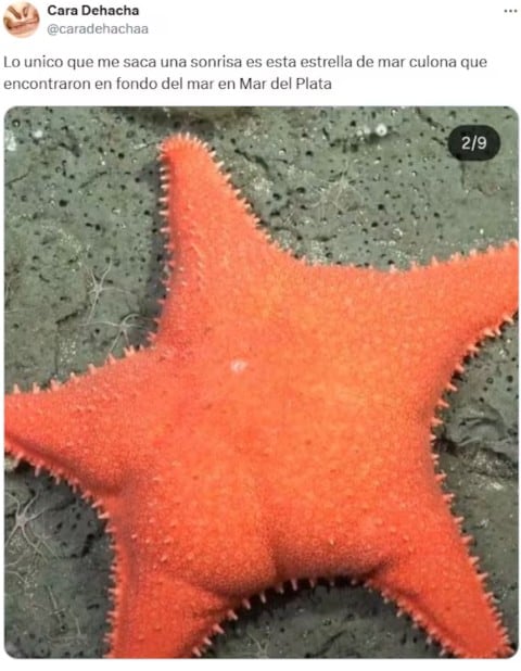 CONICET