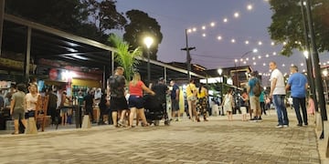 Puerto Iguazú: se habilitó la primera etapa de la calle paseo de la avenida Brasil.