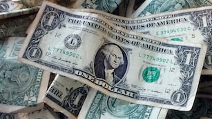 El dólar se mantuvo estable en una plaza convulsionada (AP Foto/Mark Lennihan, Archivo)
