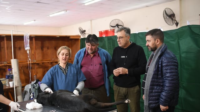 Castraron en la vecinal del barrio Independencia
