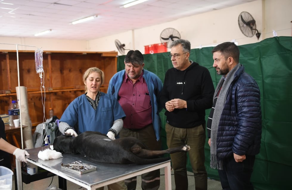 El Quirófano Móvil estuvo en barrio Independencia