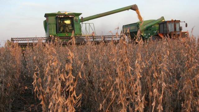 El Usda prevé una cosecha de soja en el país menor que el Ministerio de Agroindustria.