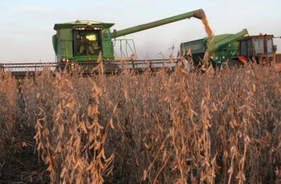 Informe del USDA - Junio 2021