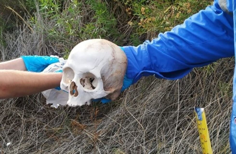 Investigan el hallazgo de un cráneo en un descampado de Rawson