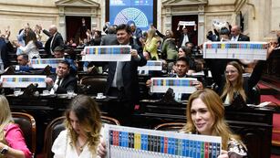 Histórico: la boleta única es ley a nivel nacional y se estrenará en las legislativas de 2025. Foto: fotografia.dgpd@hcdn.gob.ar / NA
