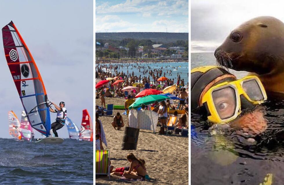 Verano 2025: cuánto cuesta vacacionar en Puerto Madryn y qué excursiones se puden hacer