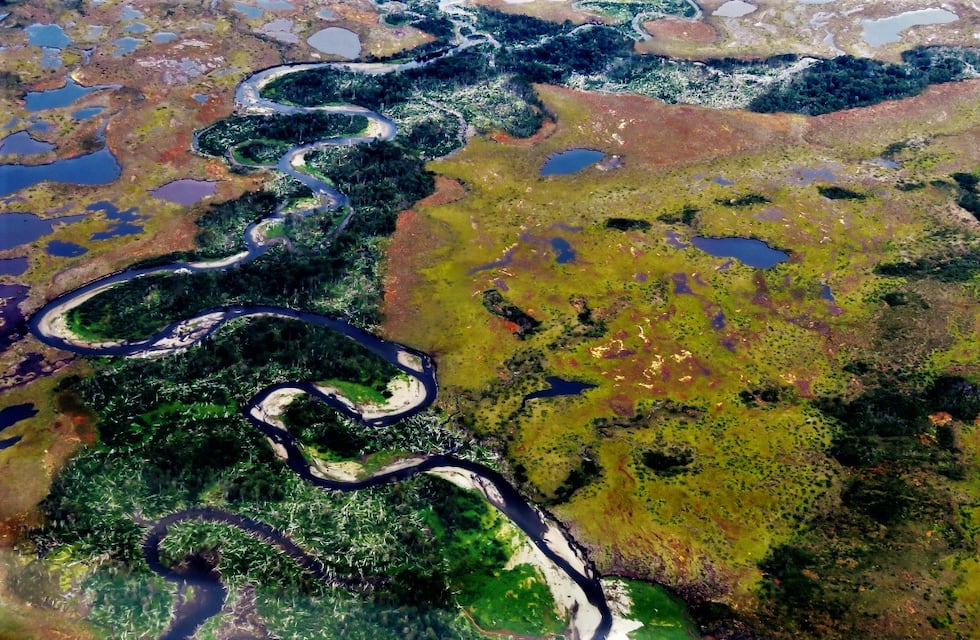 La Secretaría de Ambiente realizó actividades en el Día Mundial de los Humedales