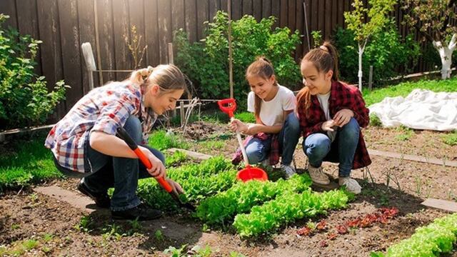 Nuevo curso on line de Huerta urbana