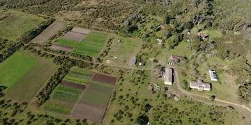 PASSS - Alimentación sana