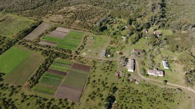 PASSS - Alimentación sana