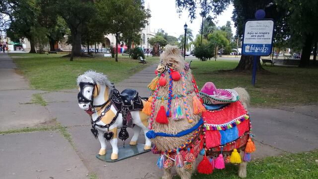 Hicieron una denuncia por maltrato animal en una plaza de Santa Fe y terminaron siendo animales de juguetes.