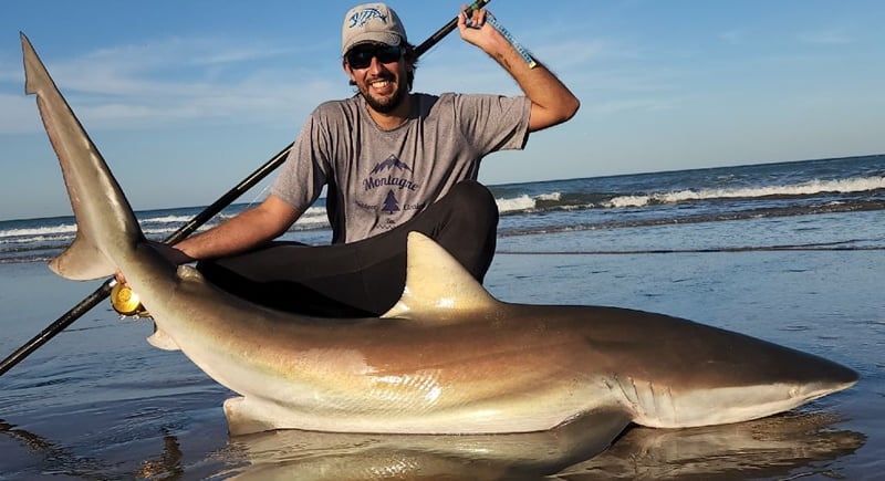 Conservar tiburones: un proyecto federal que une ciencia y pesca responsable (foto: Matías Orthman)