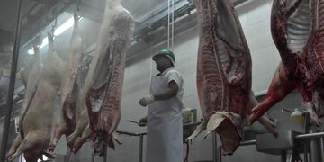 Bajas en exportación, pero aumento en el consumo per capita (LA VOZ/Archivo)