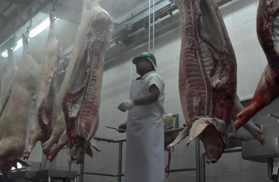 Movimiento de la carne de cerdo