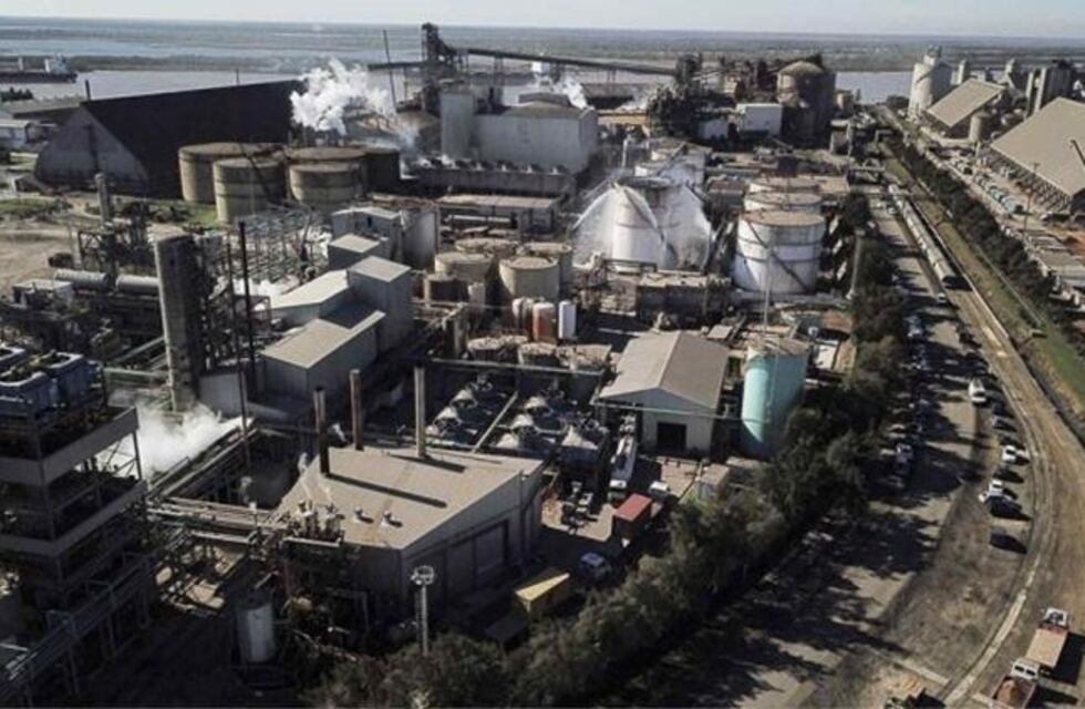 Vicentin: suspendieron el acceso de la empresa al mercado mayorista para comprar dólares