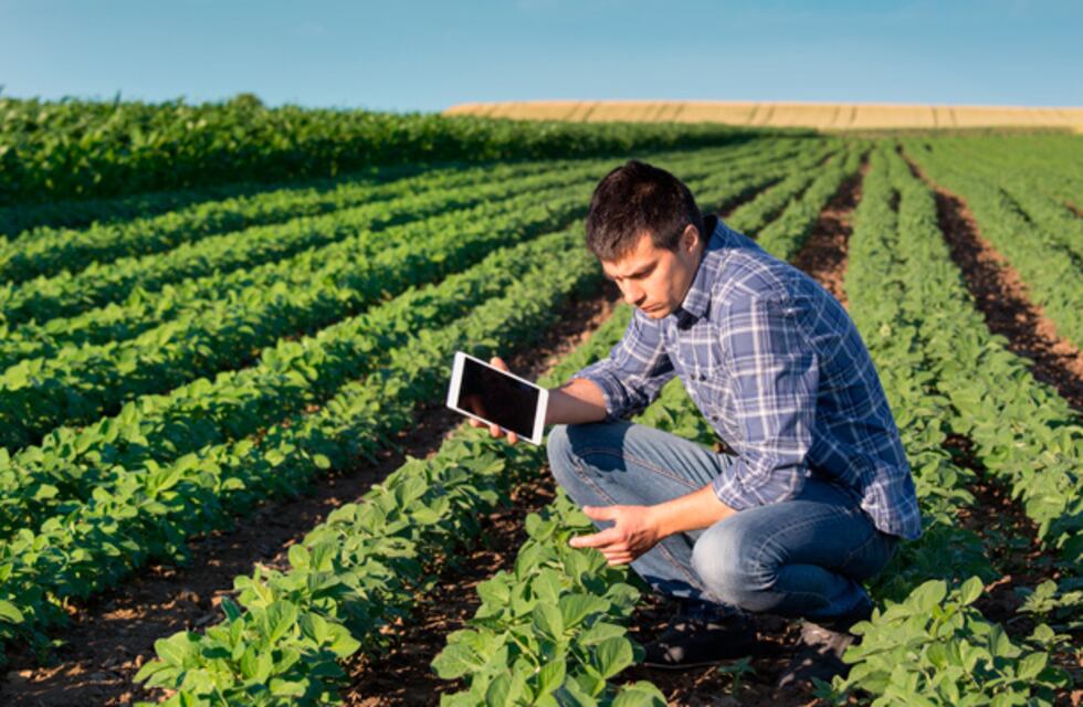 IVA anual agropecuario