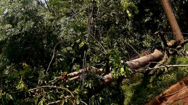 Algunas zonas de Eldorado continúan sin energía eléctrica luego del fuerte temporal.