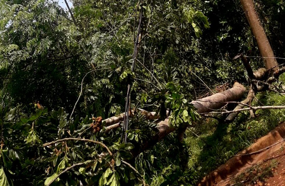 Algunas zonas de Eldorado continúan sin energía eléctrica luego del fuerte temporal