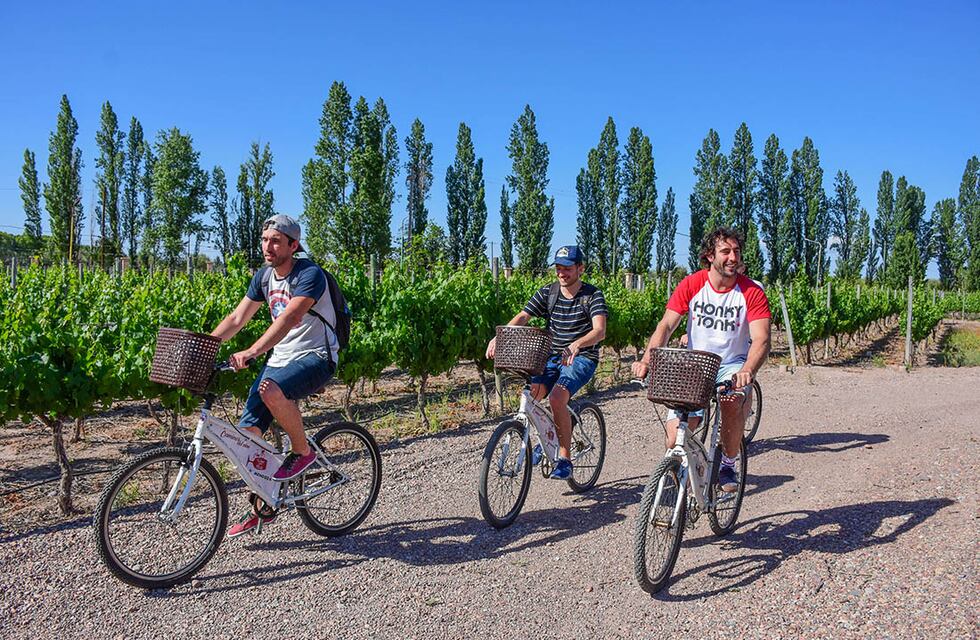 Turismo en Mendoza: la ocupación es superior al 90% en esta segunda quincena de enero