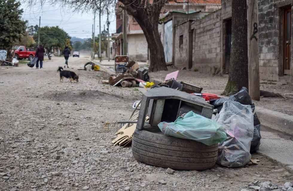 Recuerdan cifras y recomendaciones, en el Día internacional contra el dengue