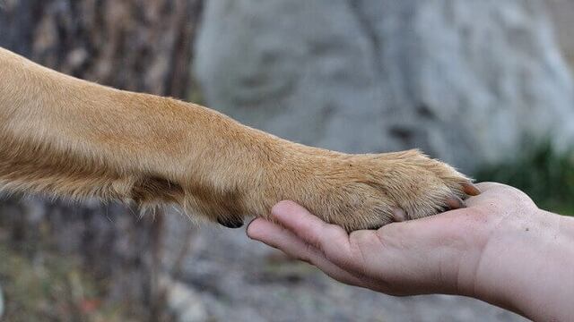 Imagen ilustrativa. Foto: Web