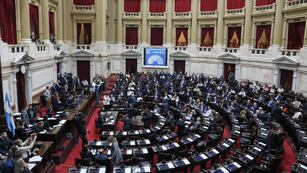 Diputados: la oposición logró el quórum y busca rechazar los vetos de Milei.