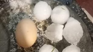 El tamaño del granizo que cayó al sur de la provincia de Córdoba.