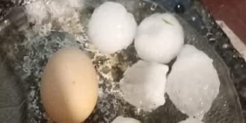 El tamaño del granizo que cayó al sur de la provincia de Córdoba.