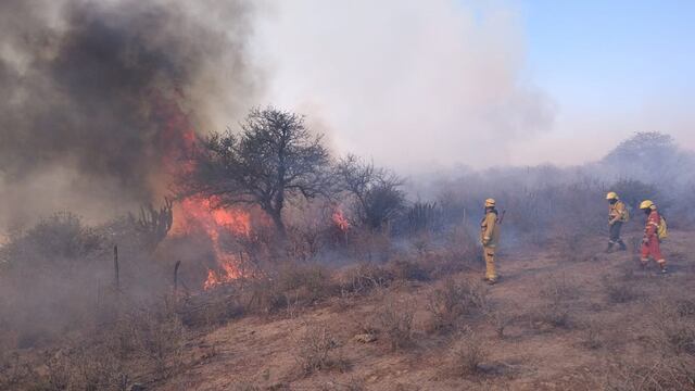 Las llamas no dan tregua al norte de Córdoba. (Gentileza Federación de Bomberos Voluntarios)