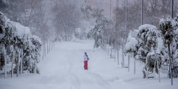 La nieve dejó a la capital española completamente paralizada, sin trenes ni aviones.