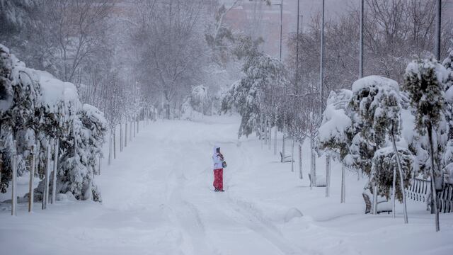La nieve dejó a la capital española completamente paralizada, sin trenes ni aviones.