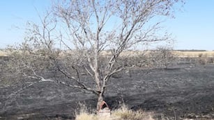 Obispo Trejo. Una ermita del Gauchito Gil sobrevivió a un incendio forestal (La Voz).