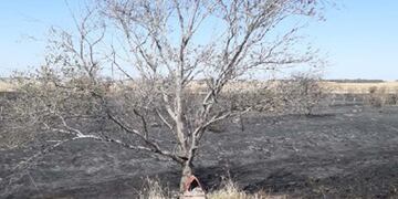 Obispo Trejo. Una ermita del Gauchito Gil sobrevivió a un incendio forestal (La Voz).