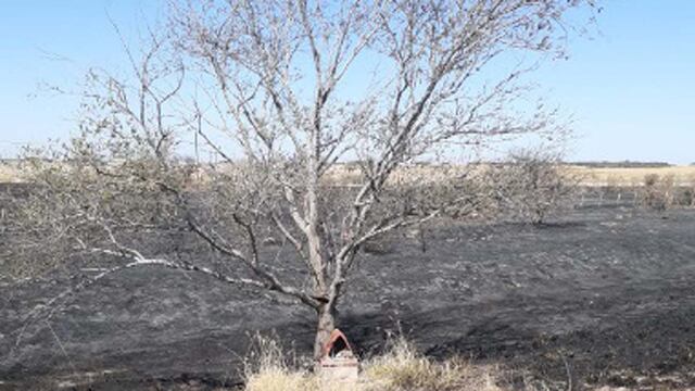 Obispo Trejo. Una ermita del Gauchito Gil sobrevivió a un incendio forestal (La Voz).