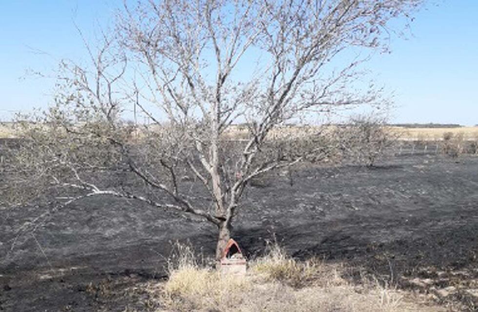 “Creer o reventar”: un incendio quemó todo un campo de Córdoba menos la gruta del Gauchito Gil