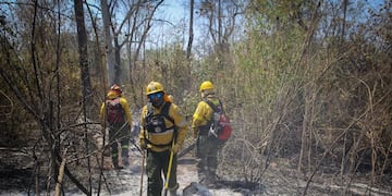 Varias decenas de brigadistas trabajan denodadamente para apagar los focos que aún persisten en la zona de las Yungas jujeñas. En menos de una semana el fuego afectó más de seis mil hectáreas.