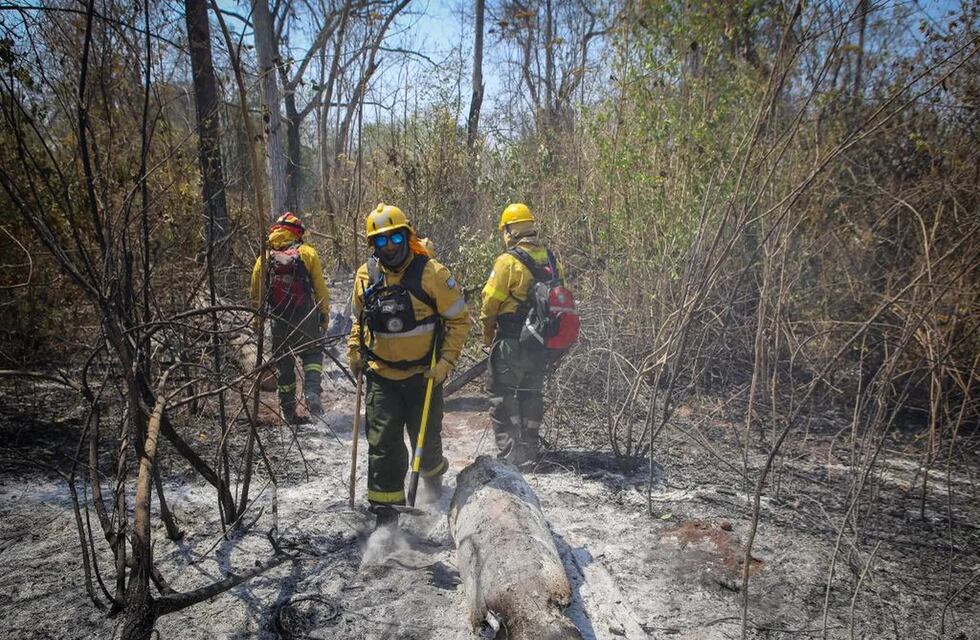 Ecocidio en Jujuy: el inicio del fuego en las Yungas “fue intencional”