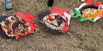 Un nuevo “ritual” puso en alerta a los vecinos de Oliva.